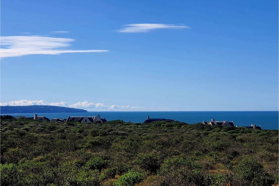 0 Bedroom Property for Sale in Springerbaai Eco Estate Western Cape